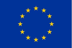 flag_yellow_low